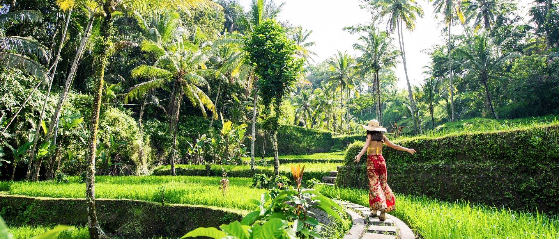 Woman walking through rice terraces in Bali